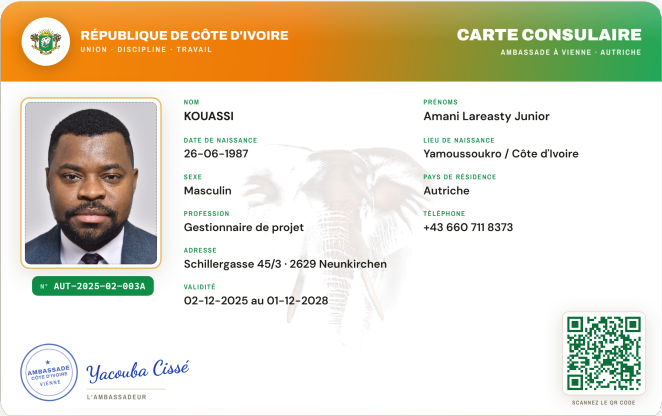 Aperçu Carte Consulaire
